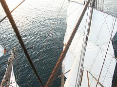 080508_Roald_Amundsen 317